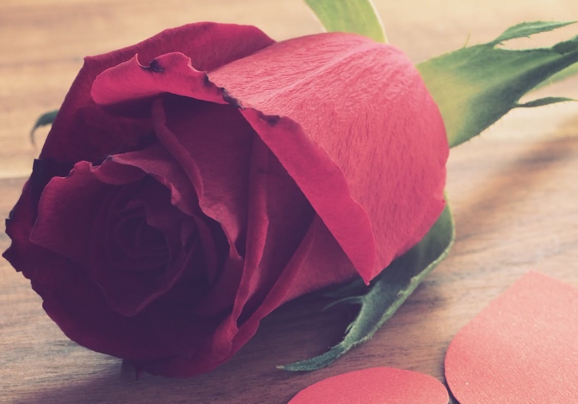 花店资讯:不同顏色的玫瑰花，分別代表什麼意思?
