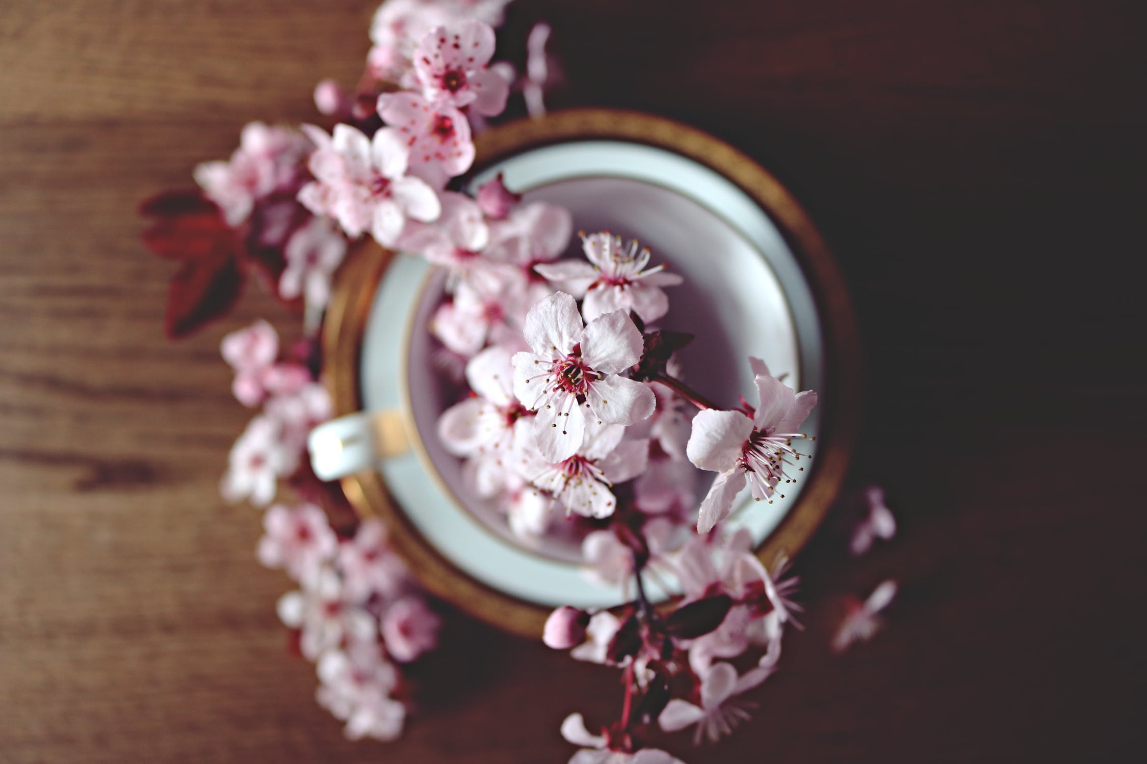 推介: Sumflower 乾花絲花畢業花束花球襟花手花