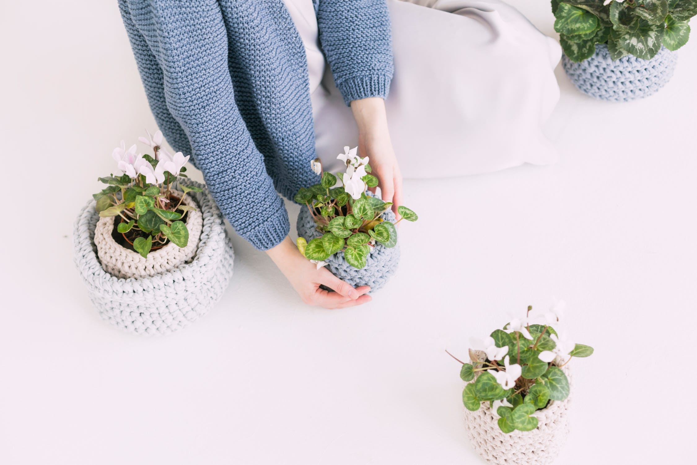 推介: SisHoney Floral Design