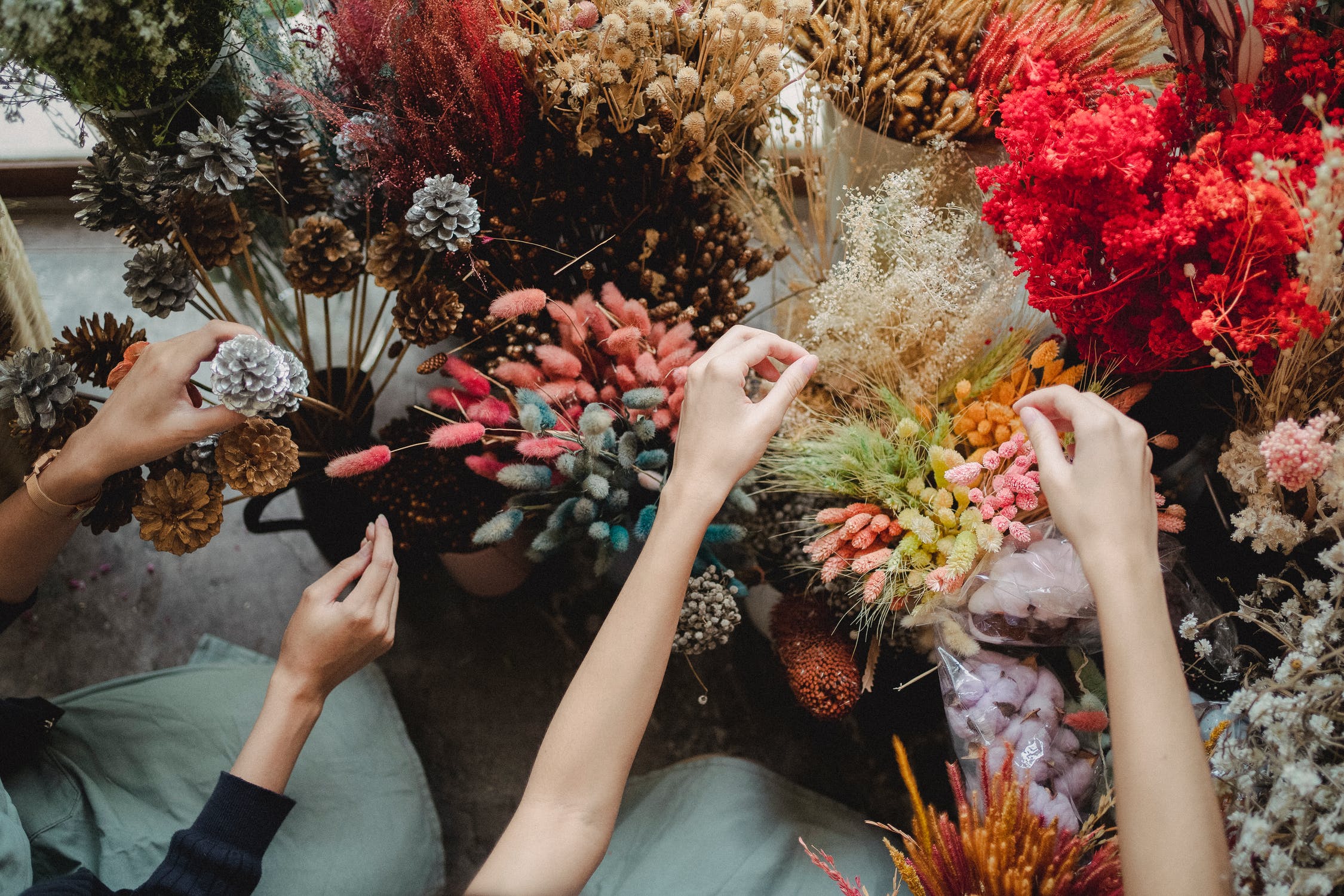 推介: dailyfloret