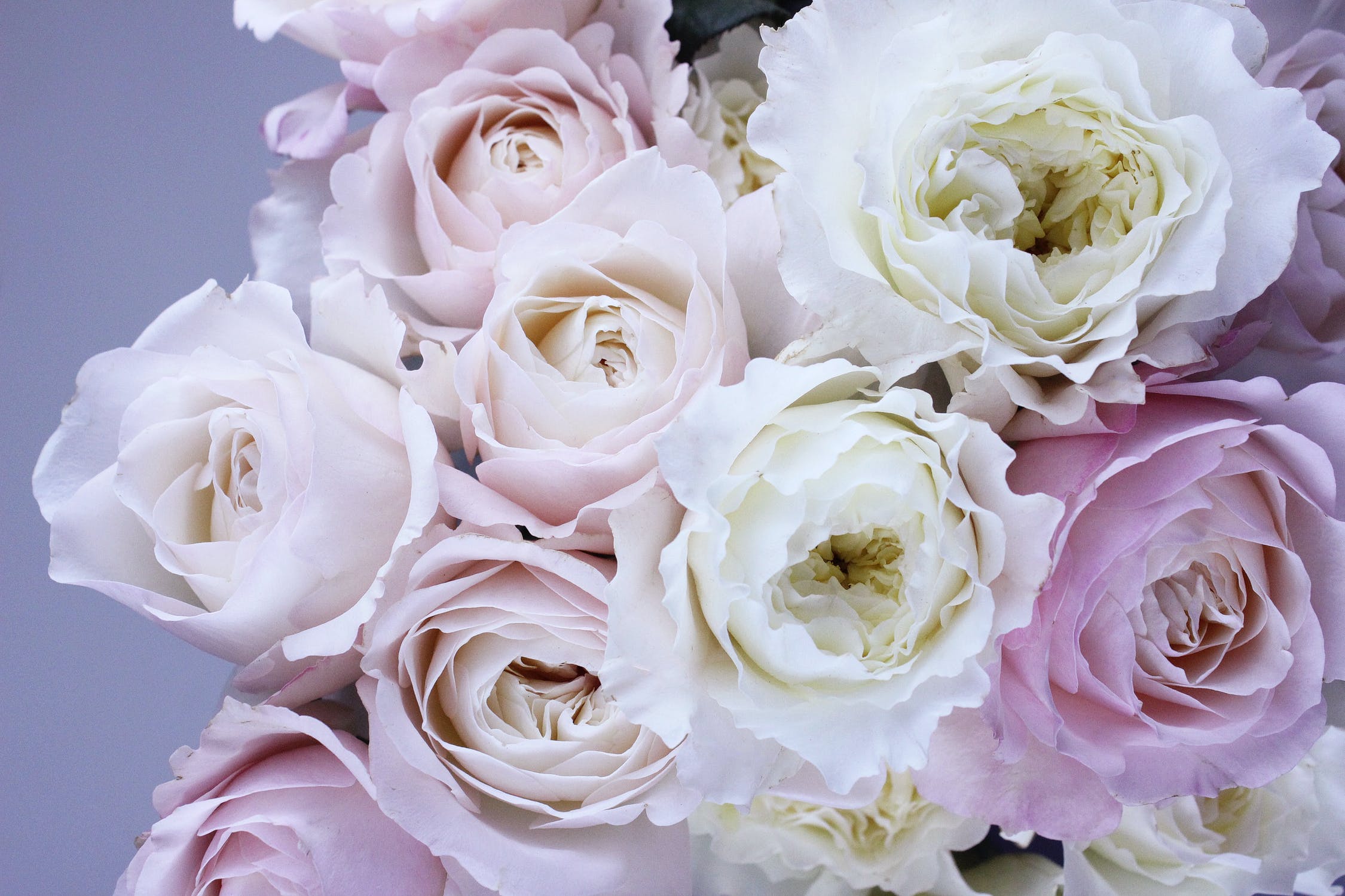 推介: Fleur Florist 花香港