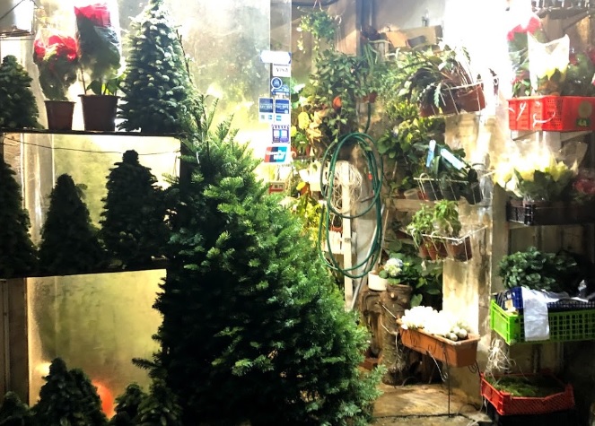 推介: Alfa House 愛花屋