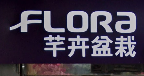 推介: 芊卉盆栽