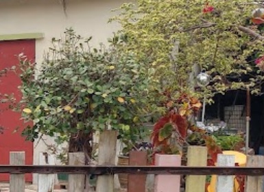 推介: 萬春園蘭苑 EverSpring Garden