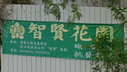 推介: 智賢花園 蝴蝶蘭