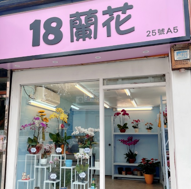 推介: 18蘭花