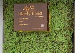 推介: Liberty Professional Floral Design