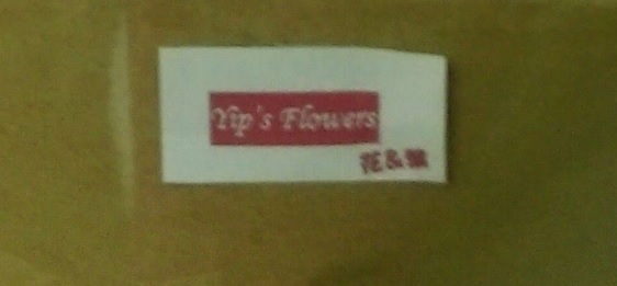 推介: 花與葉 Yip's Flowers