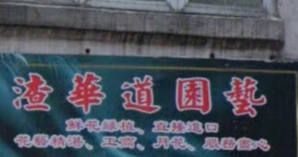 「香港花店資訊網」 渣華道園藝
