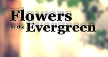 推介: 花怡 Flowers at the Evergreen