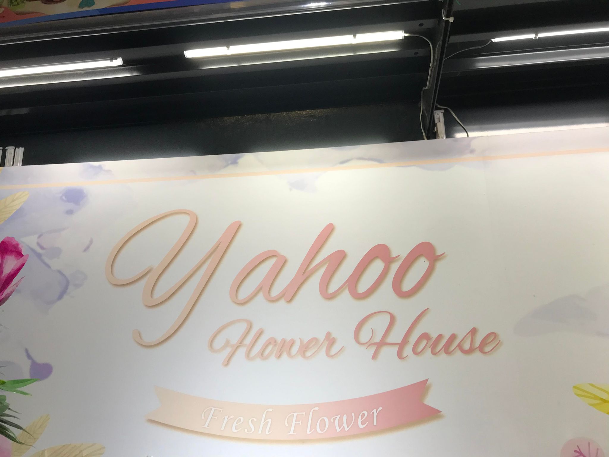 推介: Yahoo Flower House (日出康城)