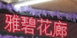 推介: 雅碧花廊 Ibi florist