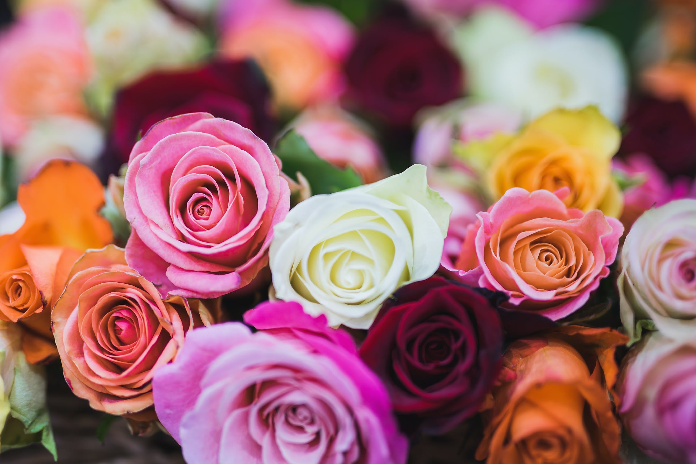 推介: 木蘭花藝  Mulan Florist