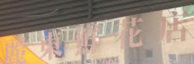 推介: 麗東鮮花花店